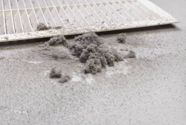 Best Ductwork Cleaning Services  in Wylie, TX